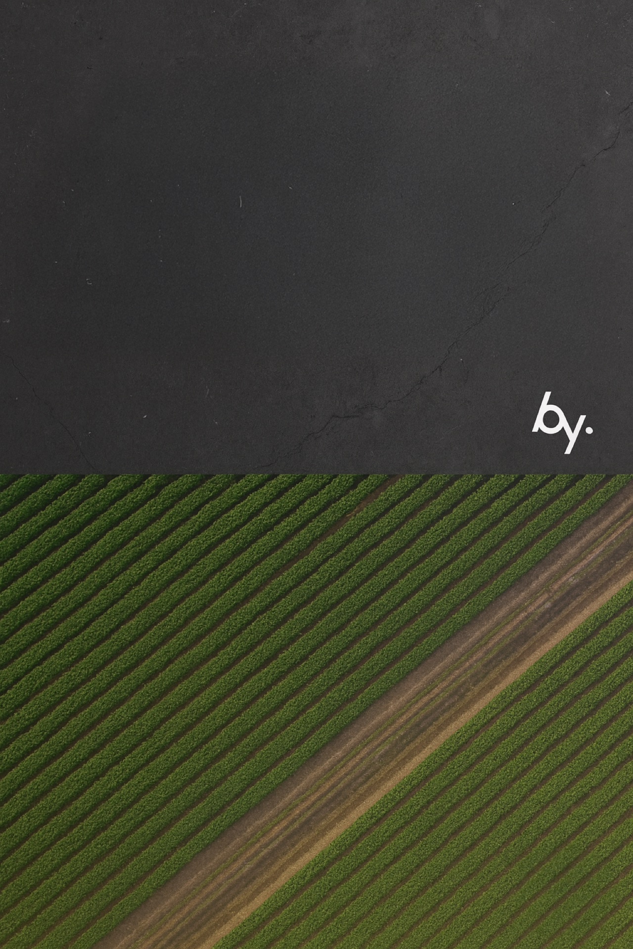 AMSO 경영지원 파트너십 컨셉